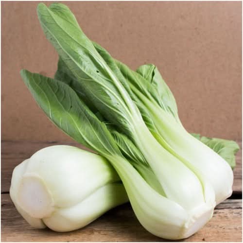 Pak Choy White Stem Cabbage Seeds For Planting (Brassica rapa)