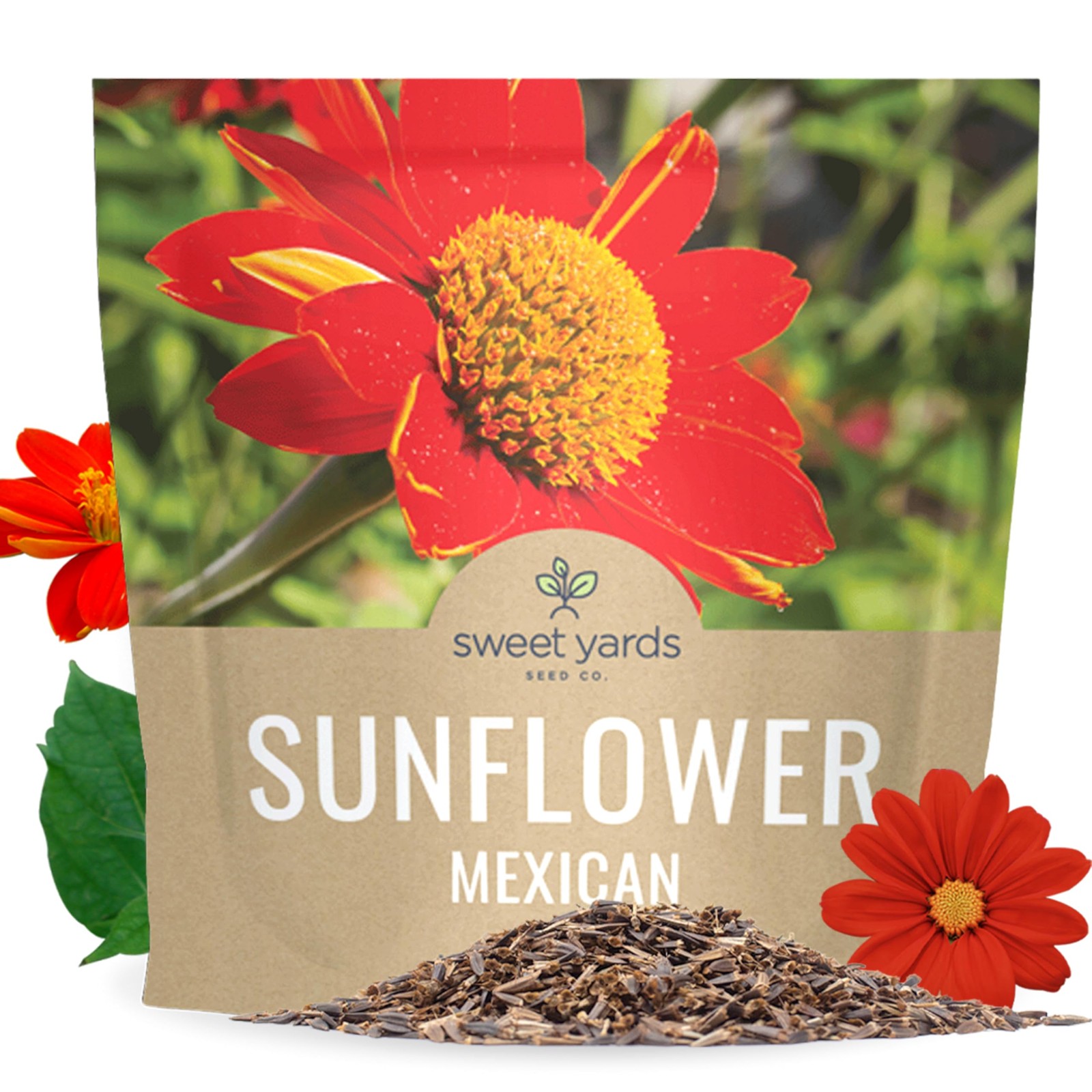Mexican Sunflower Seeds – Extra Large Packet – Over 2,500 Open Pollinated Non…