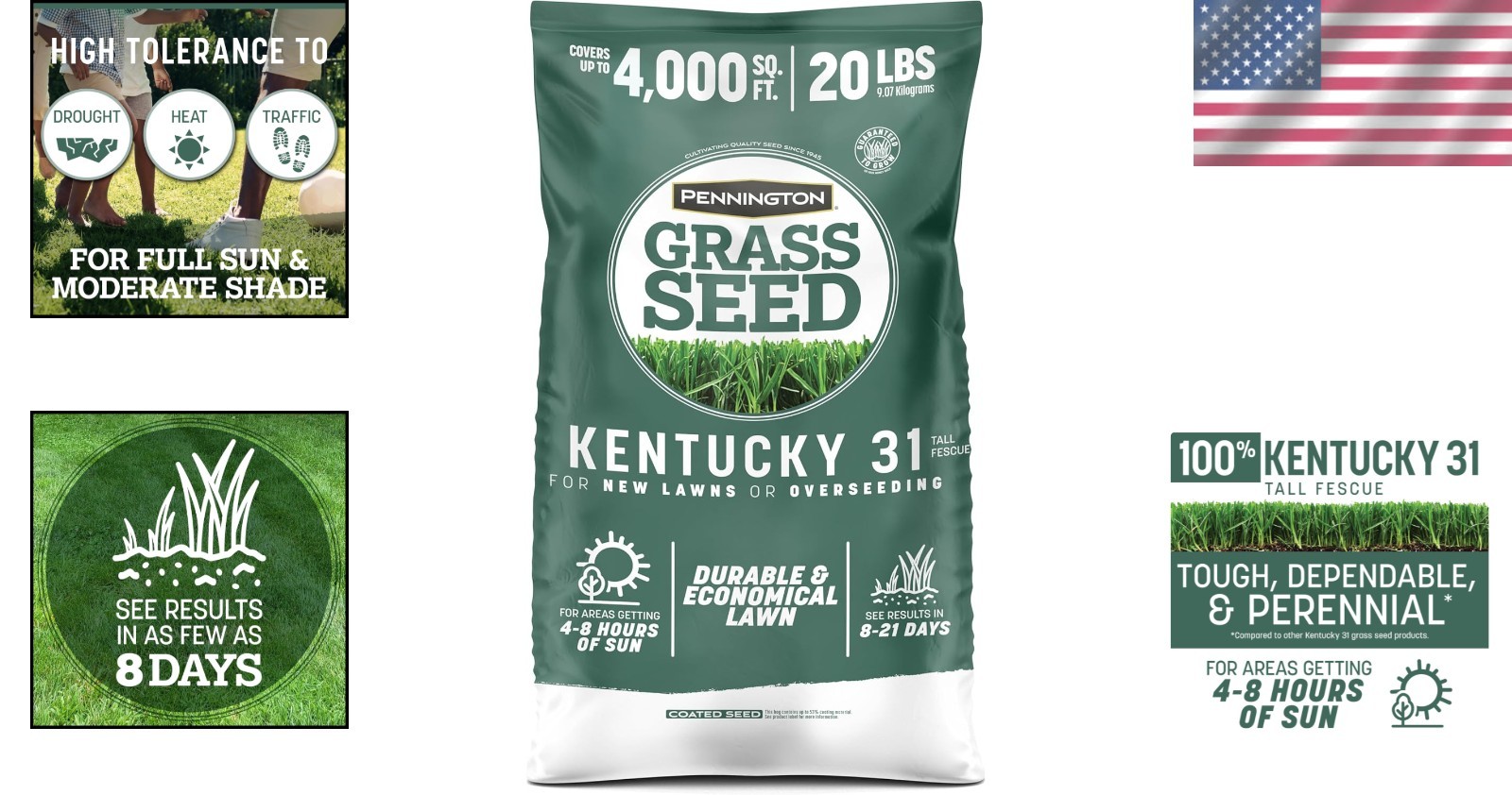 Fast Germinating Kentucky 31 Fescue Grass Seed 20 lb – Perfect for Any Lawn