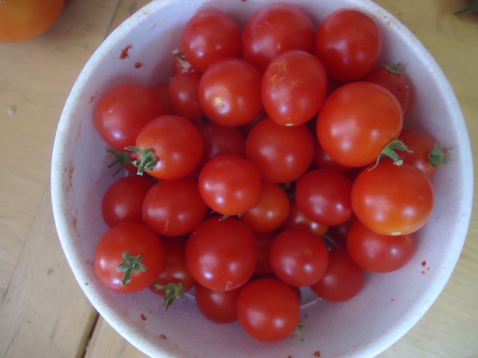 Heirloom Cherry tomato variety pack FREE SHIP + FREE GIFT!