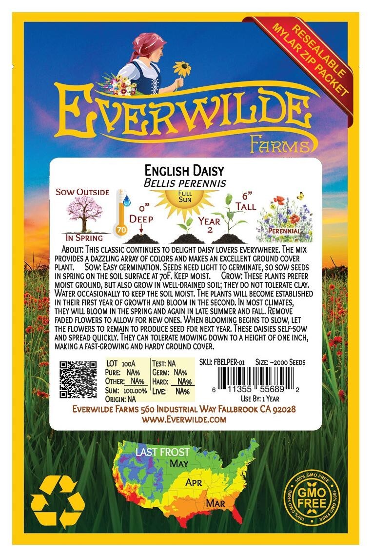 2000 English Daisy Mixed Wildflower Seeds – Everwilde Farms Mylar Seed Packet