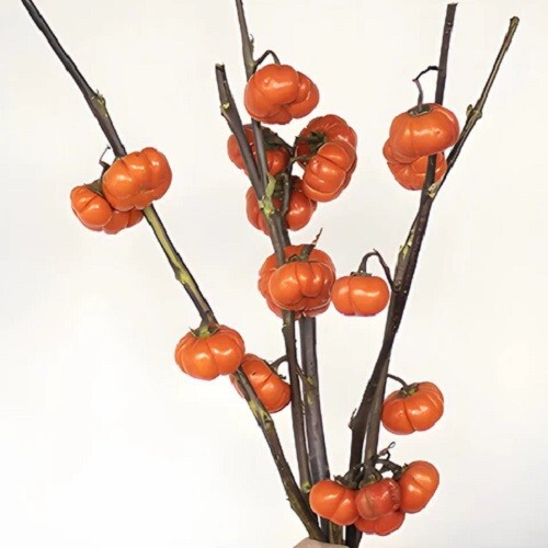 40 Seeds Pumpkin-on-a-Stick Decorative Halloween Eggplant Solanum integrifolium