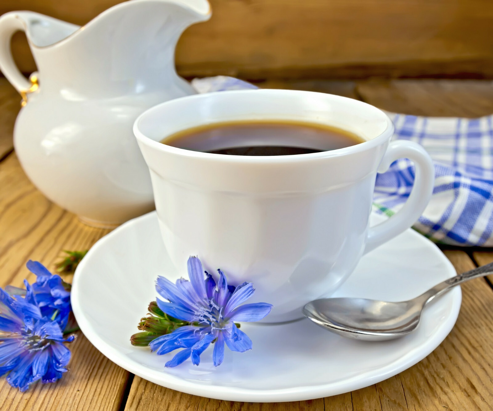 1000+ Chicory Seeds | Blue Dandelion | Perennial Medicinal Herb & Coffee Subst.