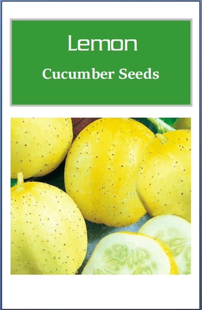 Lemon Cucumber Seeds | NON-GMO | Heirloom | Fresh Garden Seeds