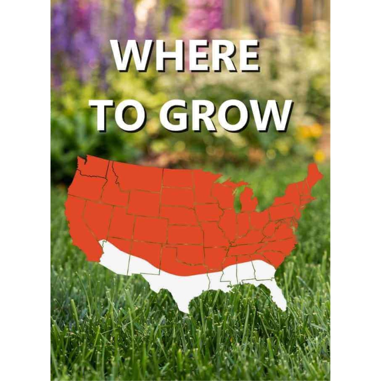 Jonathan Green Black Beauty Heat & Drought Grass Seed Mix, 7lb