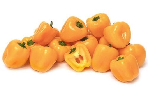 Pepper Sweet – Mini Bell Yellow 20 – 4000 Seeds Snacking High Yields!