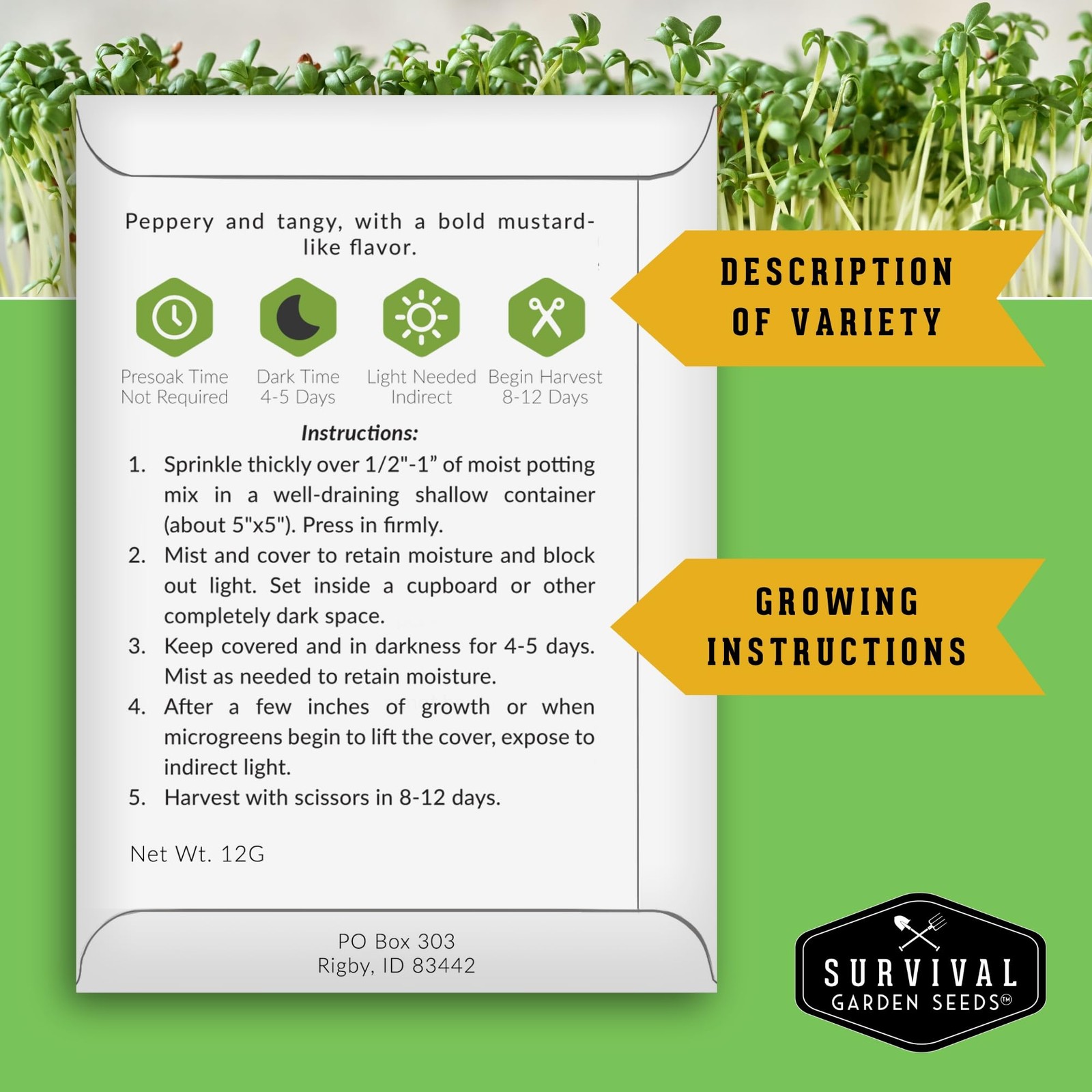 Microgreens Seeds 5Variety Pack for Sprouting – Mustard, Mung Bean, Curled Cr…