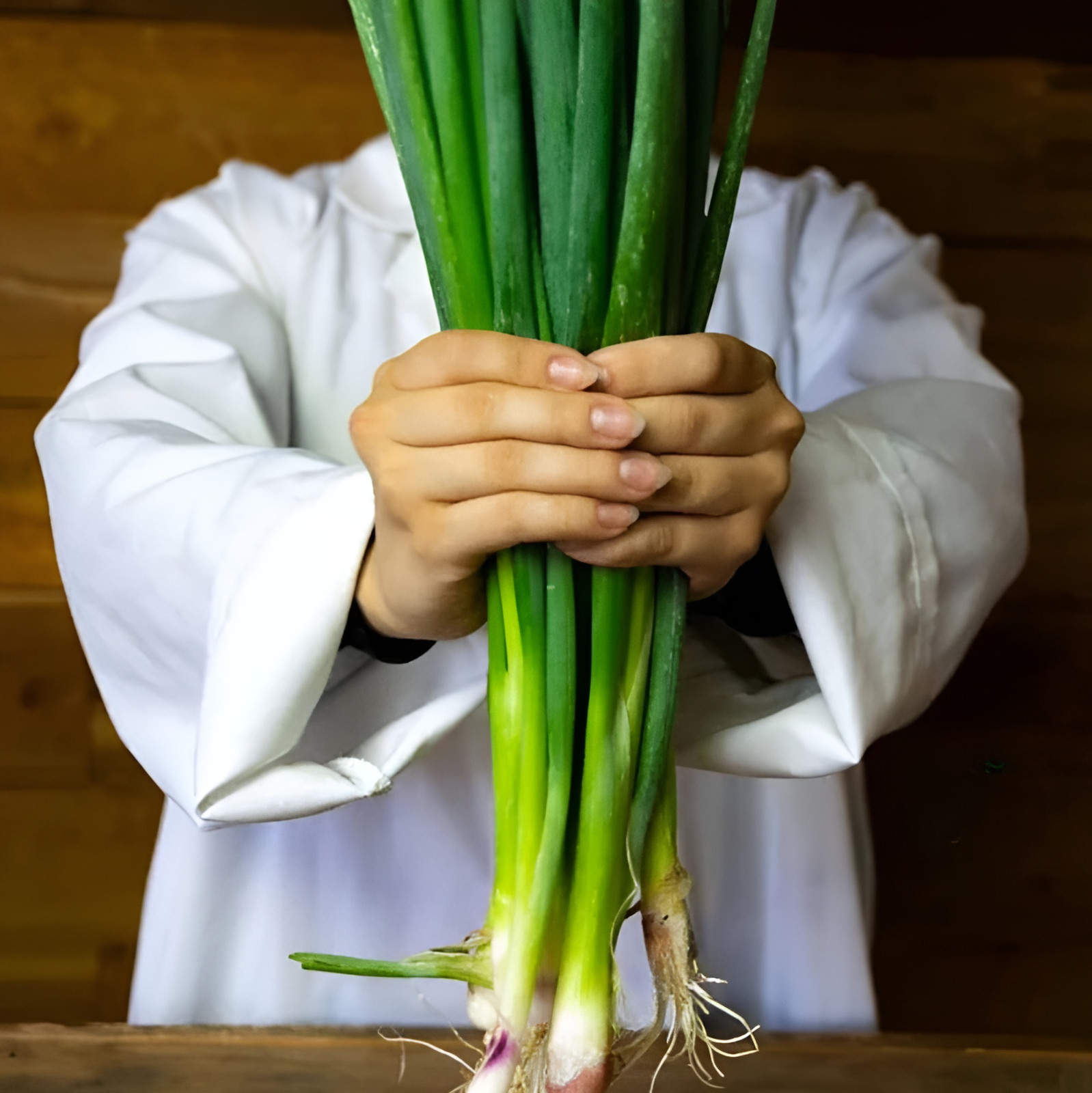 200 Heirloom Giant Japanese Red Beard Bunching Onion Scallion Seeds – Organic