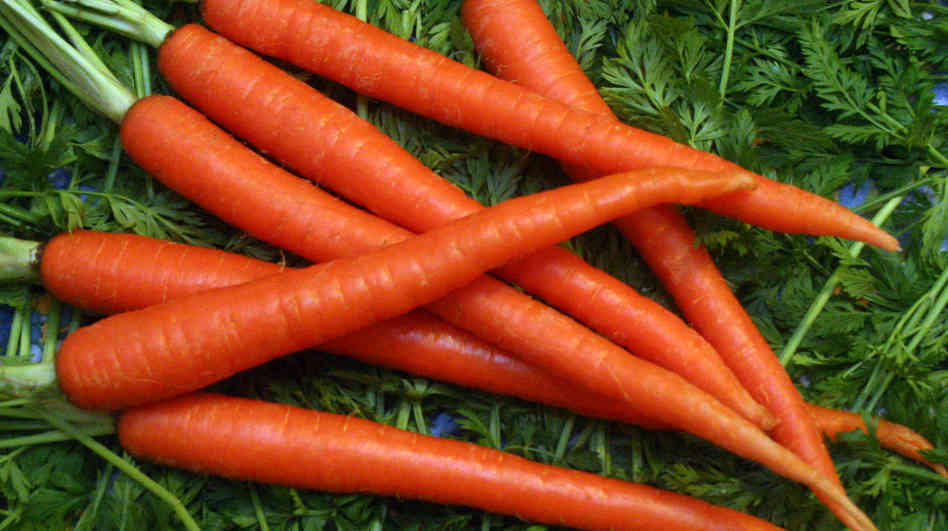 1oz Scarlet Nantes Carrot Seeds Carrots Heirloom (19,000 Seeds)