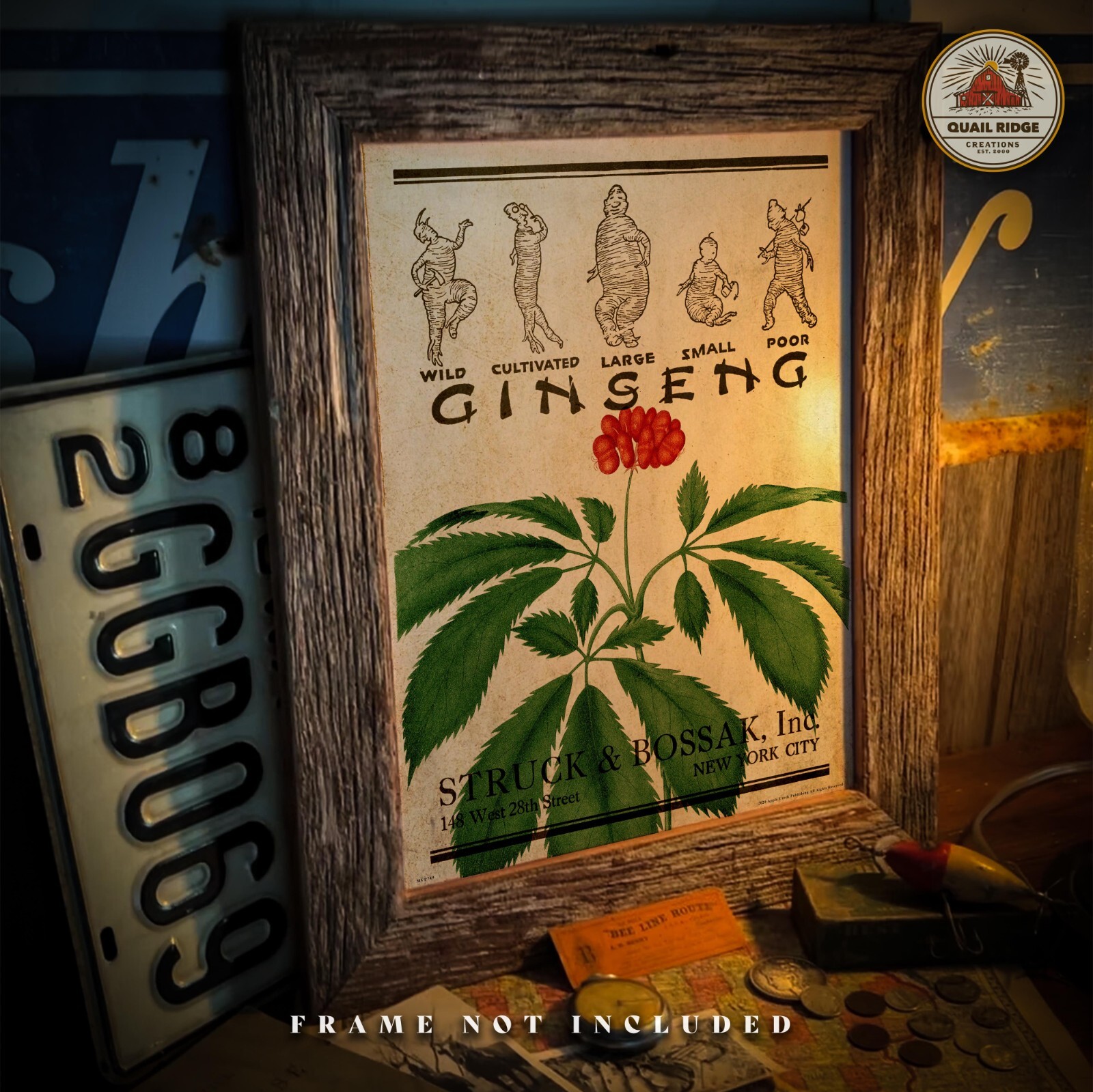 Wild Ginseng Root Poster Art Print Vintage Ginseng Hunting Wall Art Decor Gift
