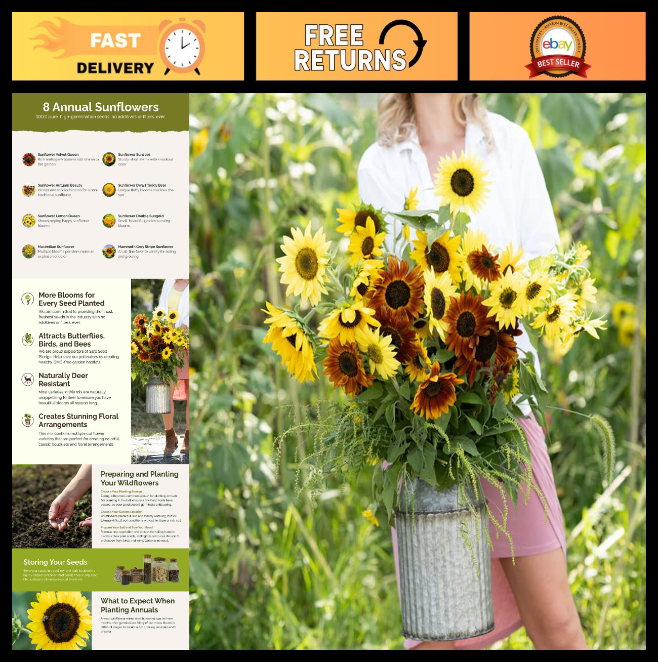 Sunny Flower Mixed Seeds – 1 lb, 480,000+ Seeds – Attracts Pollinators, Spring P