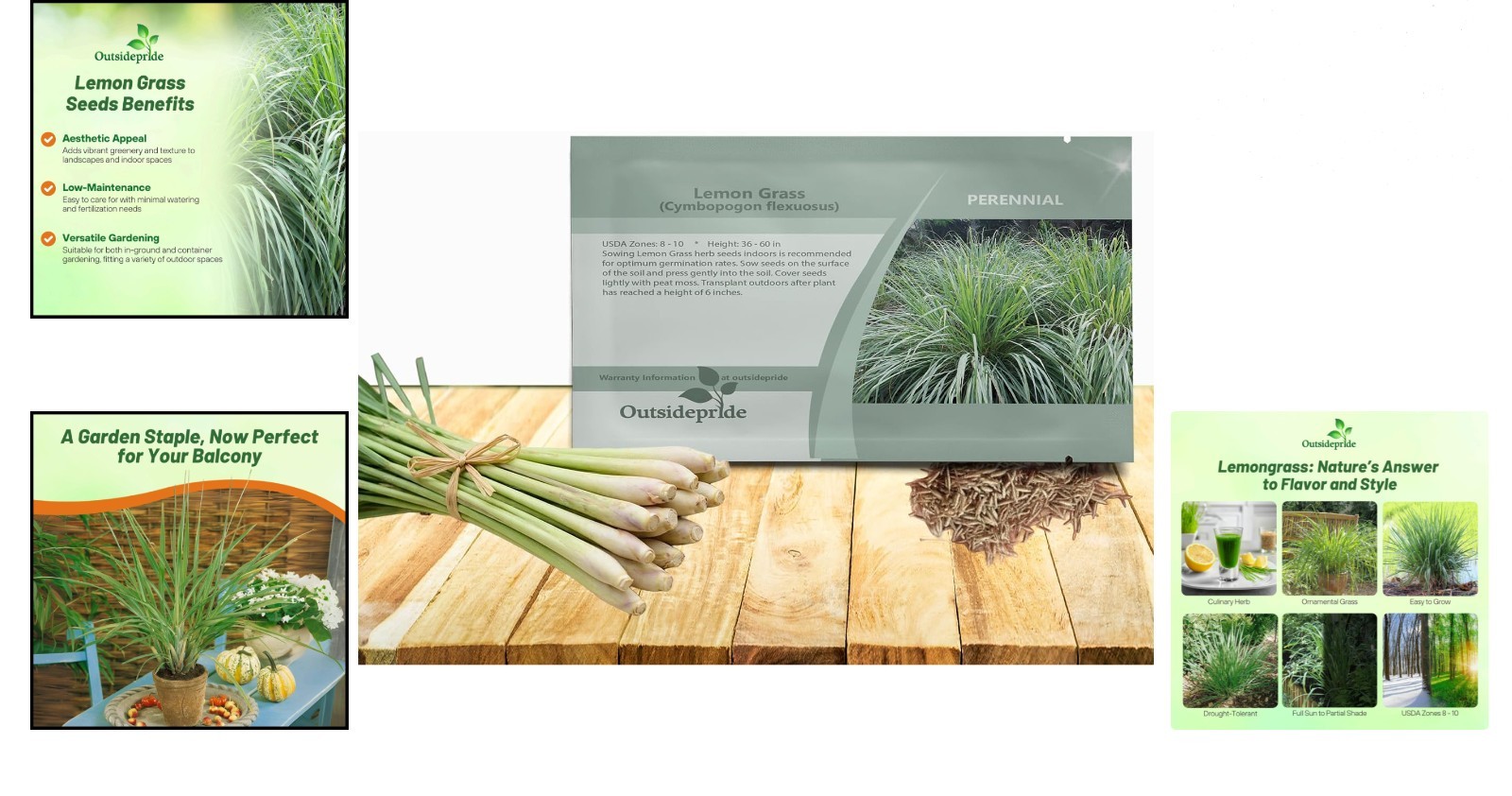 High Germination Lemon Grass Seeds – Aromatic Herb for Indoor & Outdoor Growing