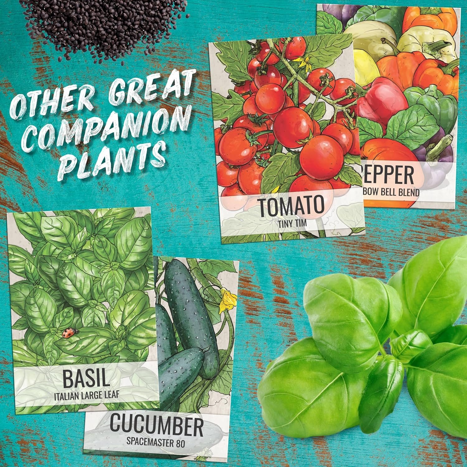 Seed Needs Cucamelon Seeds for Planting Mexican Sour Gherkin Miniature Mouse Mel