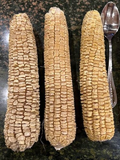 100% Organic, Silver, Hawaiian #9, Super, Sweet Corn, Heirloom, Open