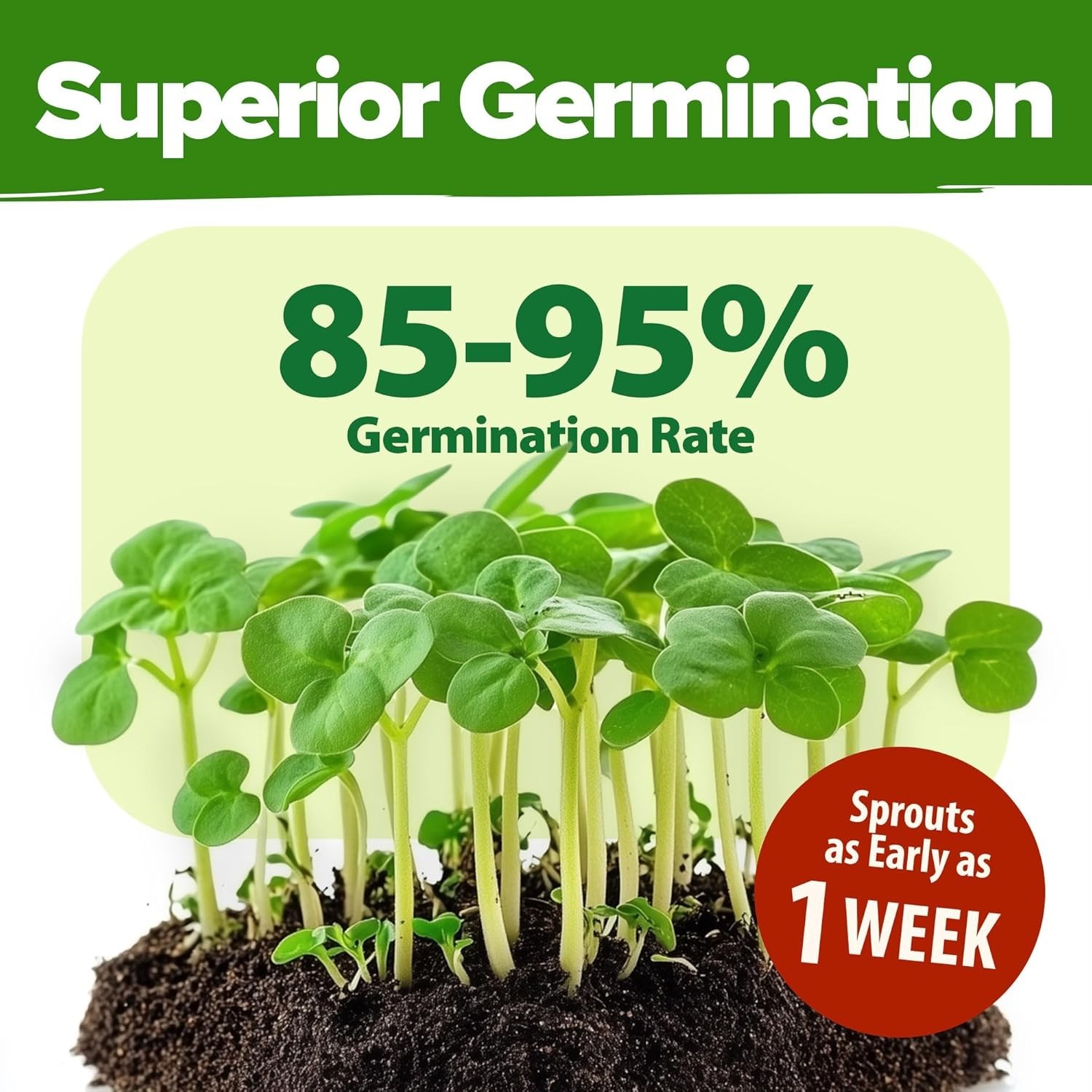 Ultimate 70 Variety Garden Seed Pack – 30,600+ Non-GMO Seeds