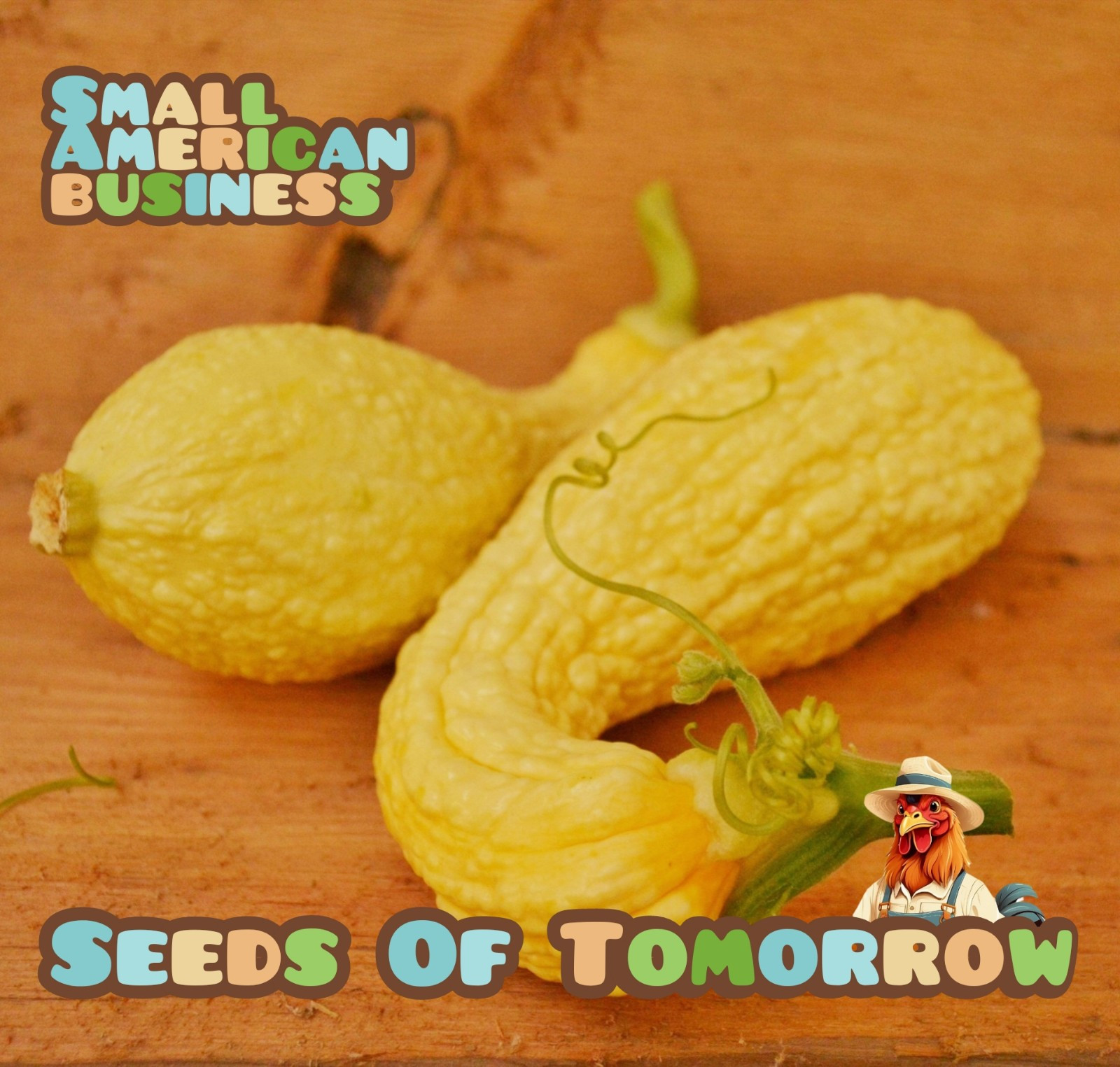 75 Yellow CrookNeck Summer Squash Seeds-with Bonus! |ORGANIC NON-GMO HEIRLOOM