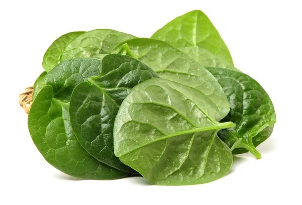 25 Green malabar spinach, Alugbati, Vietnamese Spinach, Pui, Poi shak SEEDS.