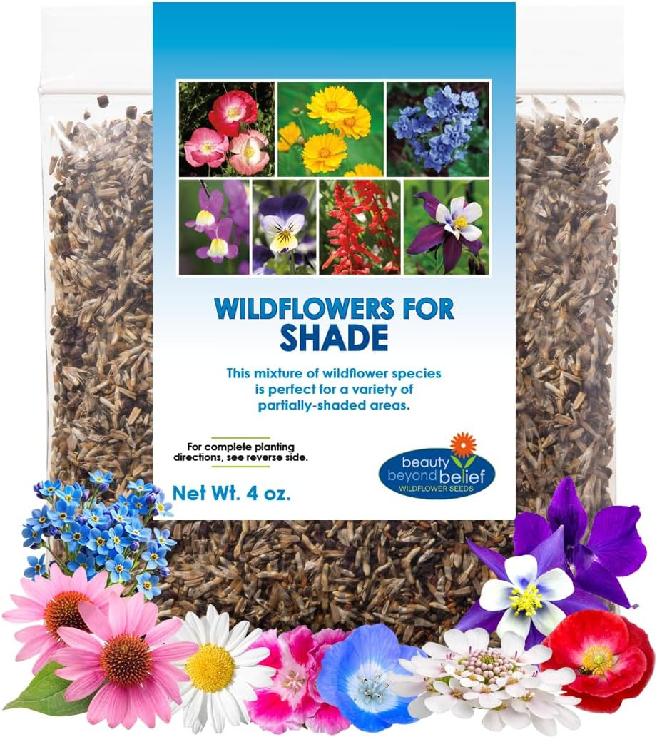 Wildflower Seed Mix for Partial Shade – 1 Oz, Annual & Perennial Blend