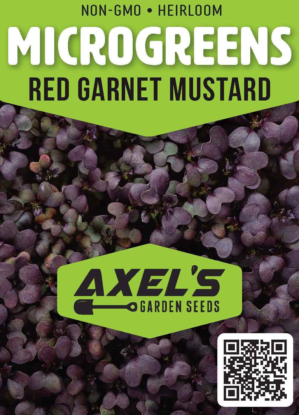 Red Garnet Mustard MICROGREEN Seeds | Heirloom | Non-GMO | Seeds for Sprouting