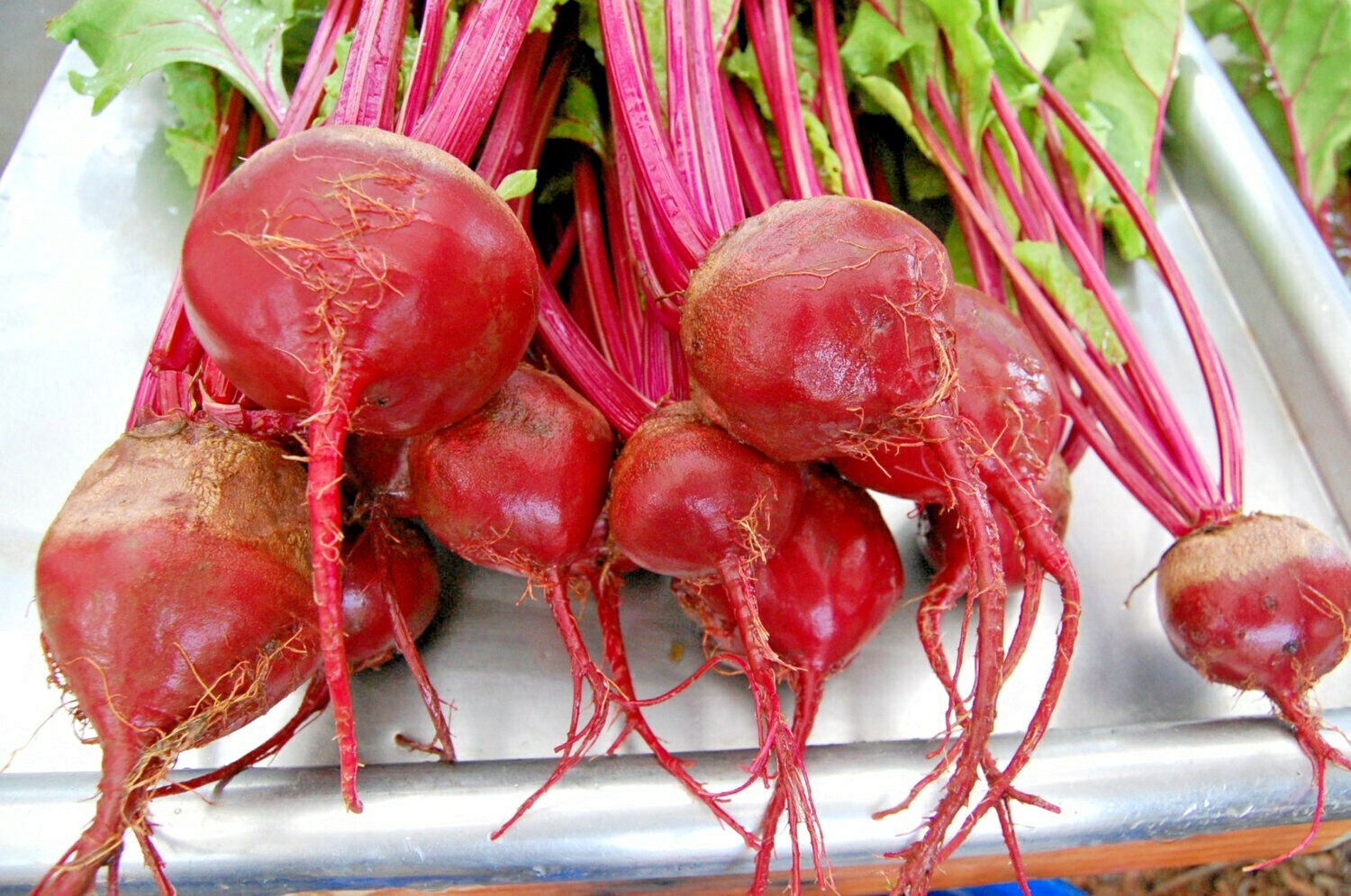 101+DETROIT DARK RED BEET Seeds Heirloom Vegetable Garden Patio Container Easy