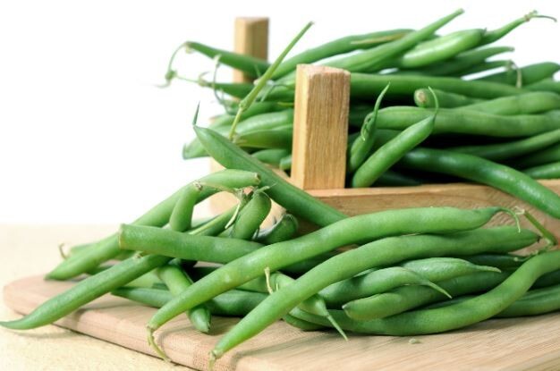 Harvester Bush Bean, 50+ Vegetable Heirloom Garden Seeds, Non-GMO. FREE SHIPPING