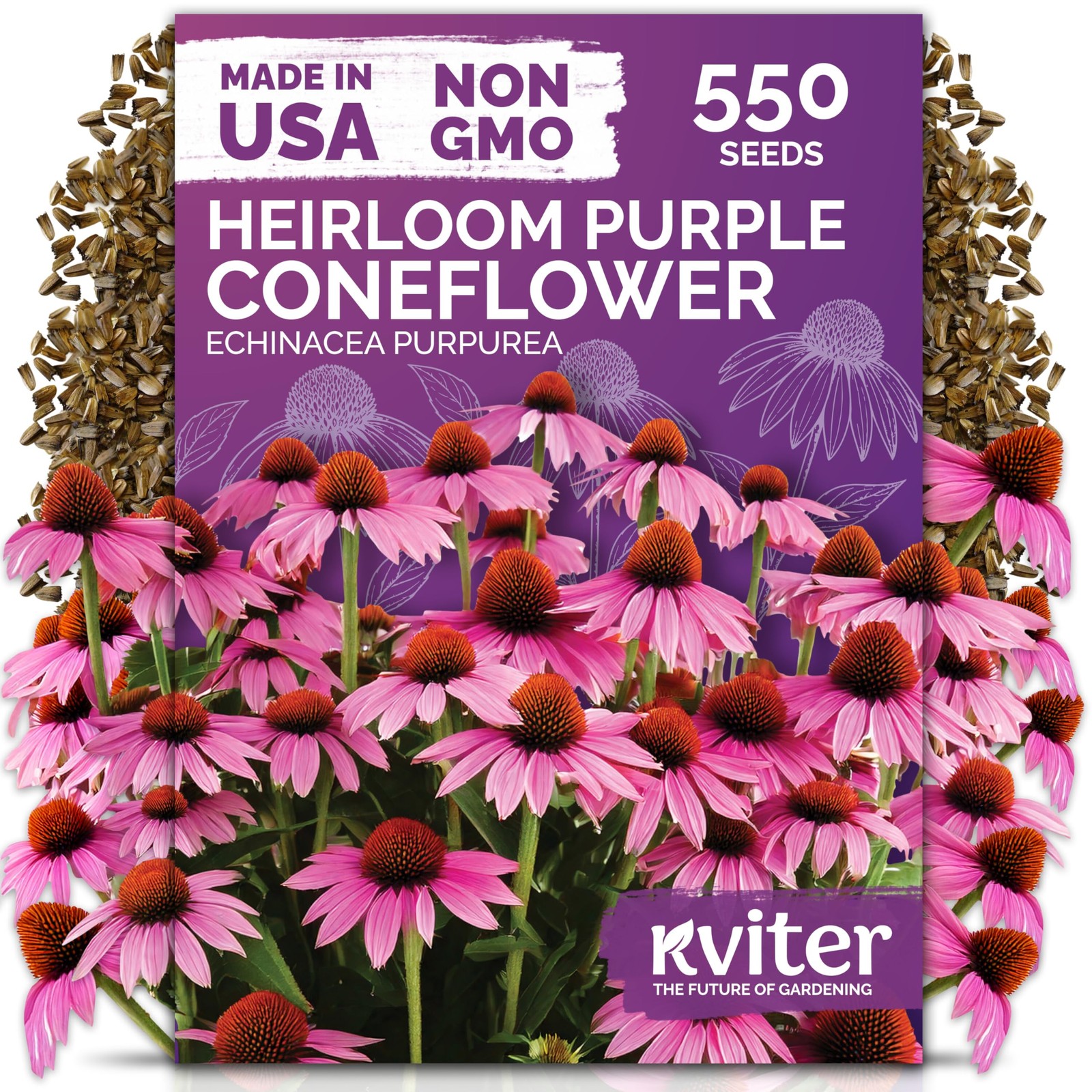 KVITER 550 Purple Coneflower Seeds (Echinacea Purpurea)