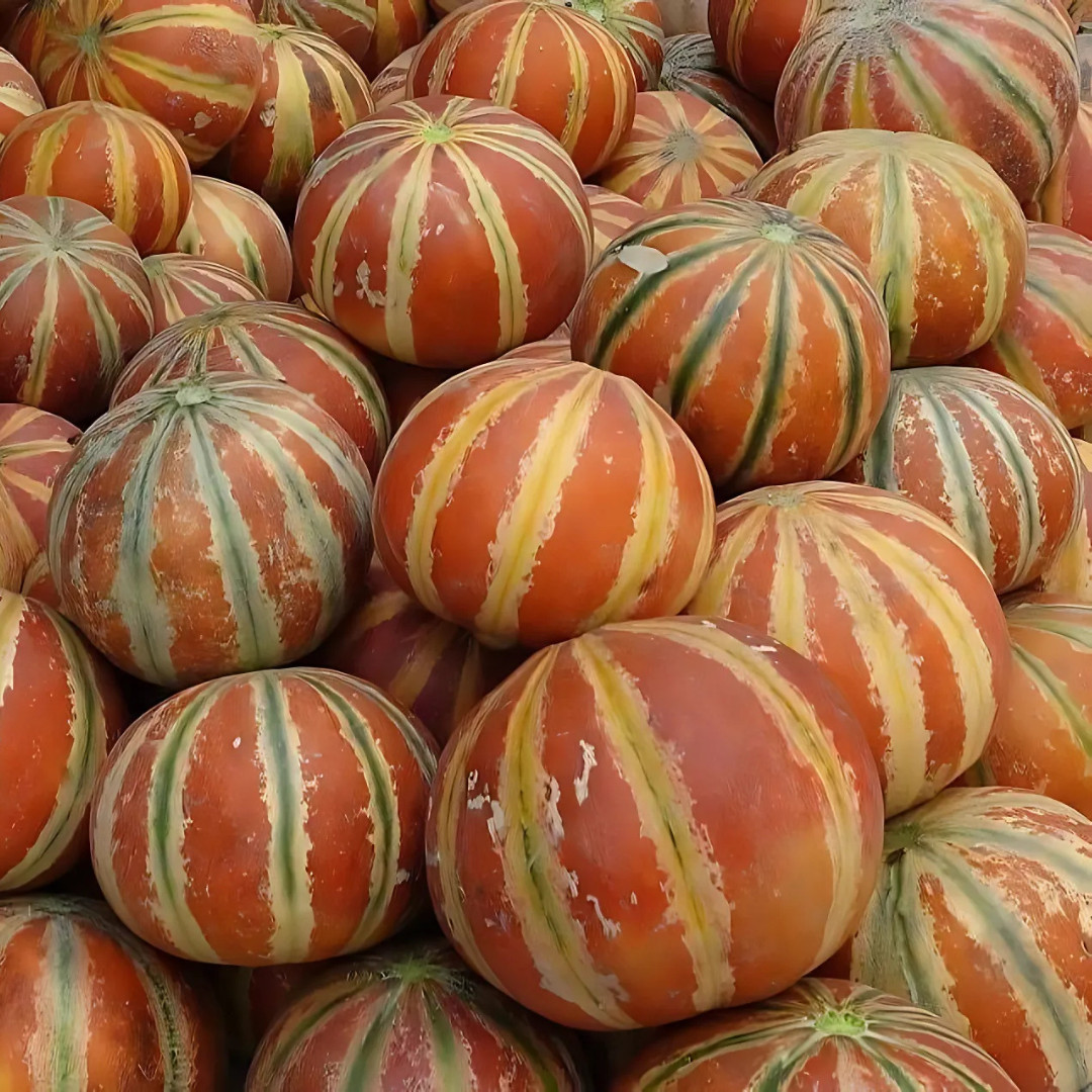 Fresh Kajari Melon Seeds | Dheli Melon | Heirloom Non-GMO | Fresh Fruit Seeds