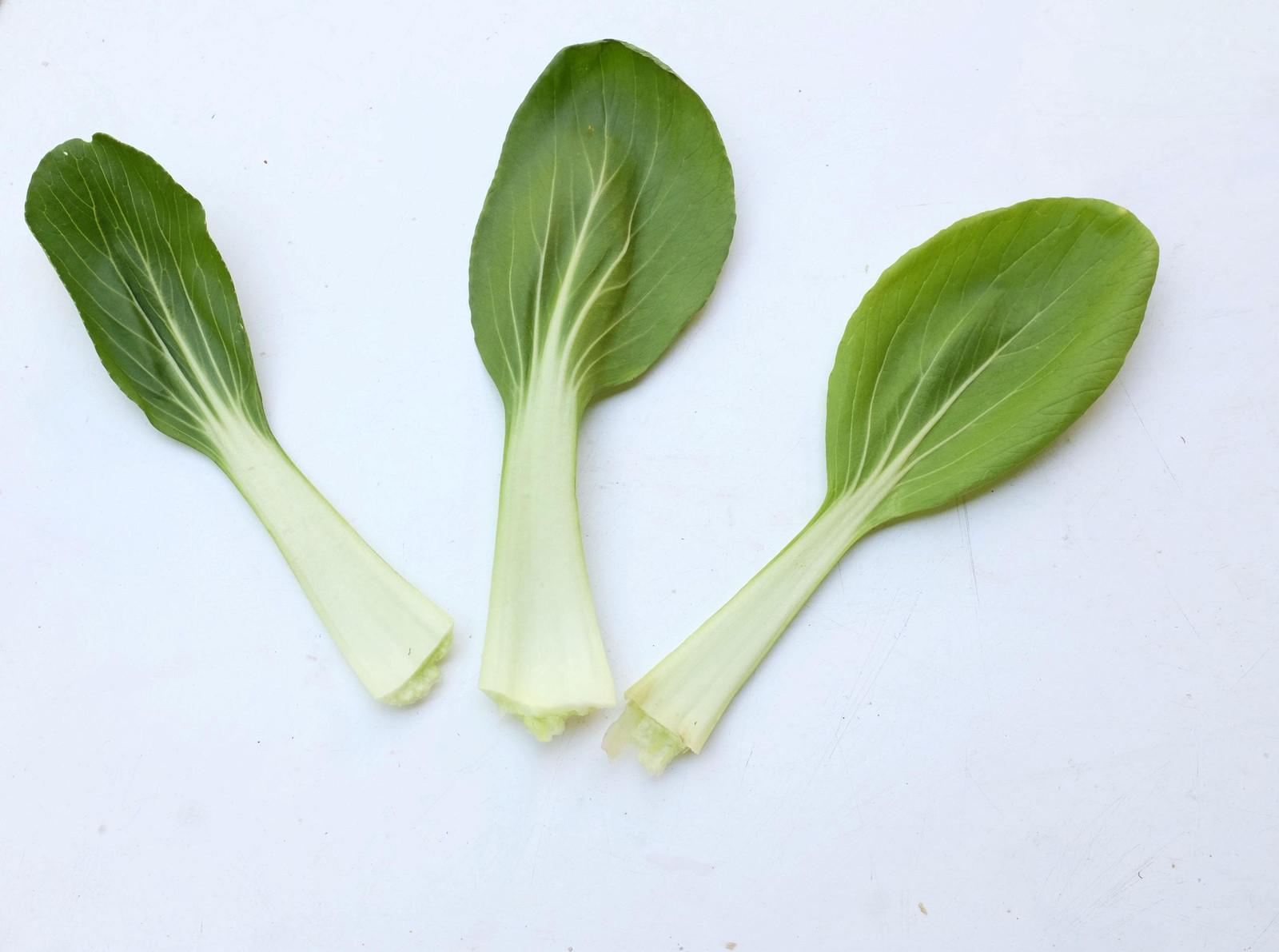 Chinese White Stem Pak Choi Bok Choy Seeds, Non-Gmo, Shipped with Tracking,