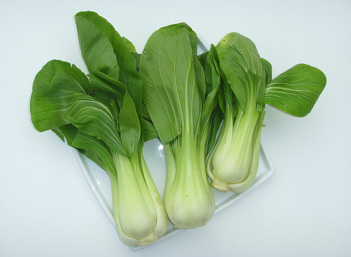 3000 Canton PAK CHOI Bok Choy Chinese Cabbage Seeds Non-GMO USA Seller