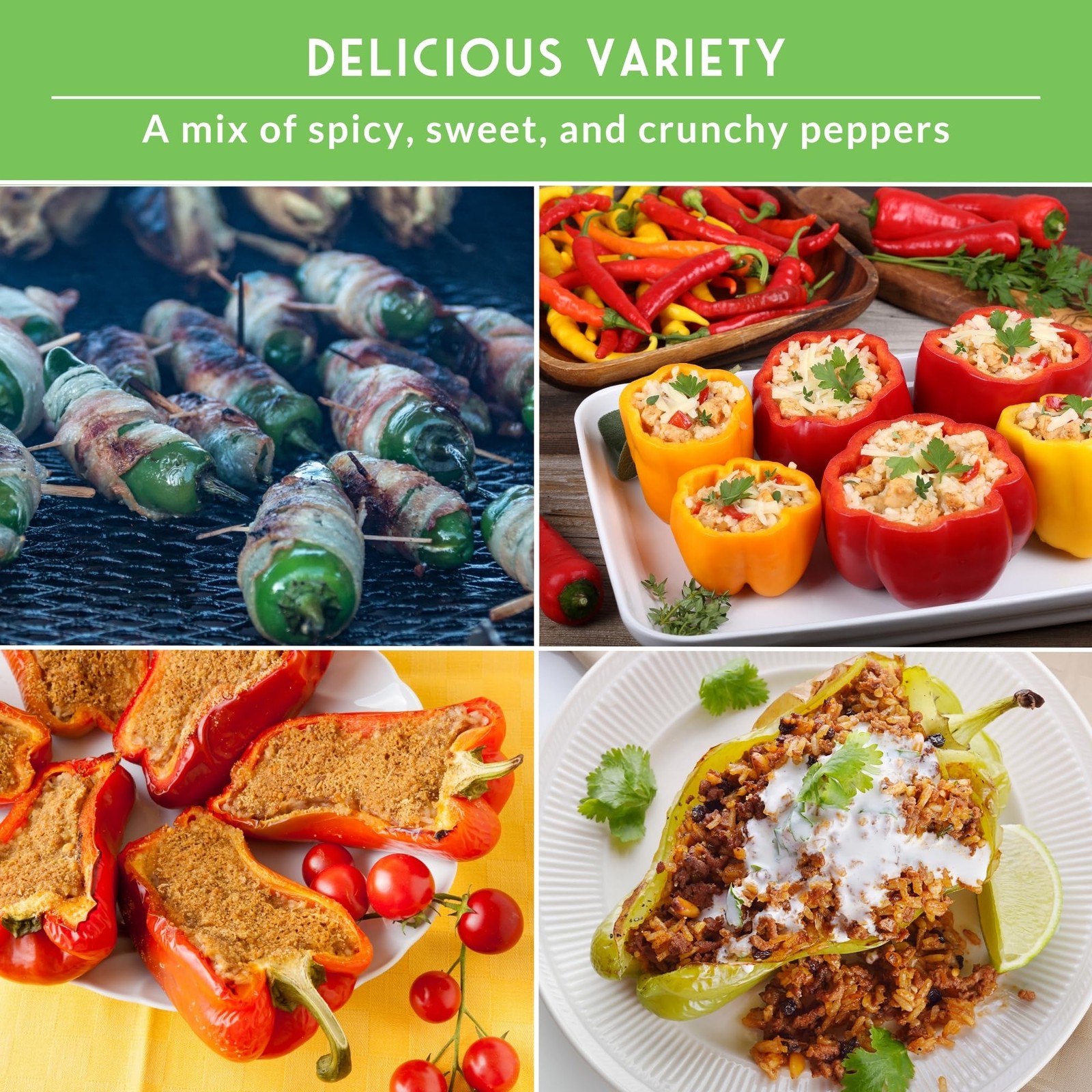Pepper Seeds for Planting – 12 Variety Pack | Jalapeño, Serrano, Cayenne, Bel…