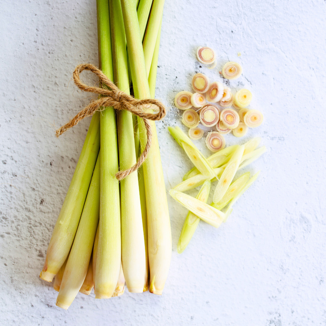 Fresh Lemongrass Herb Seeds | Xiang Mao | Heirloom Non-GMO | Asian Herb Seeds