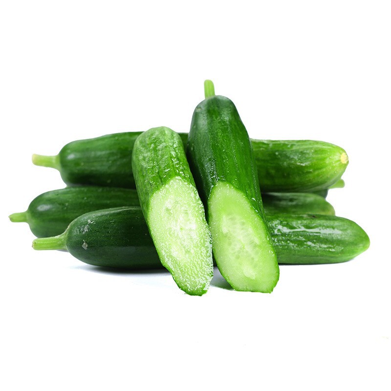 15+Cucumber Seeds Long Garden Sweet Slice Burpless Hybrid Cucumber USA