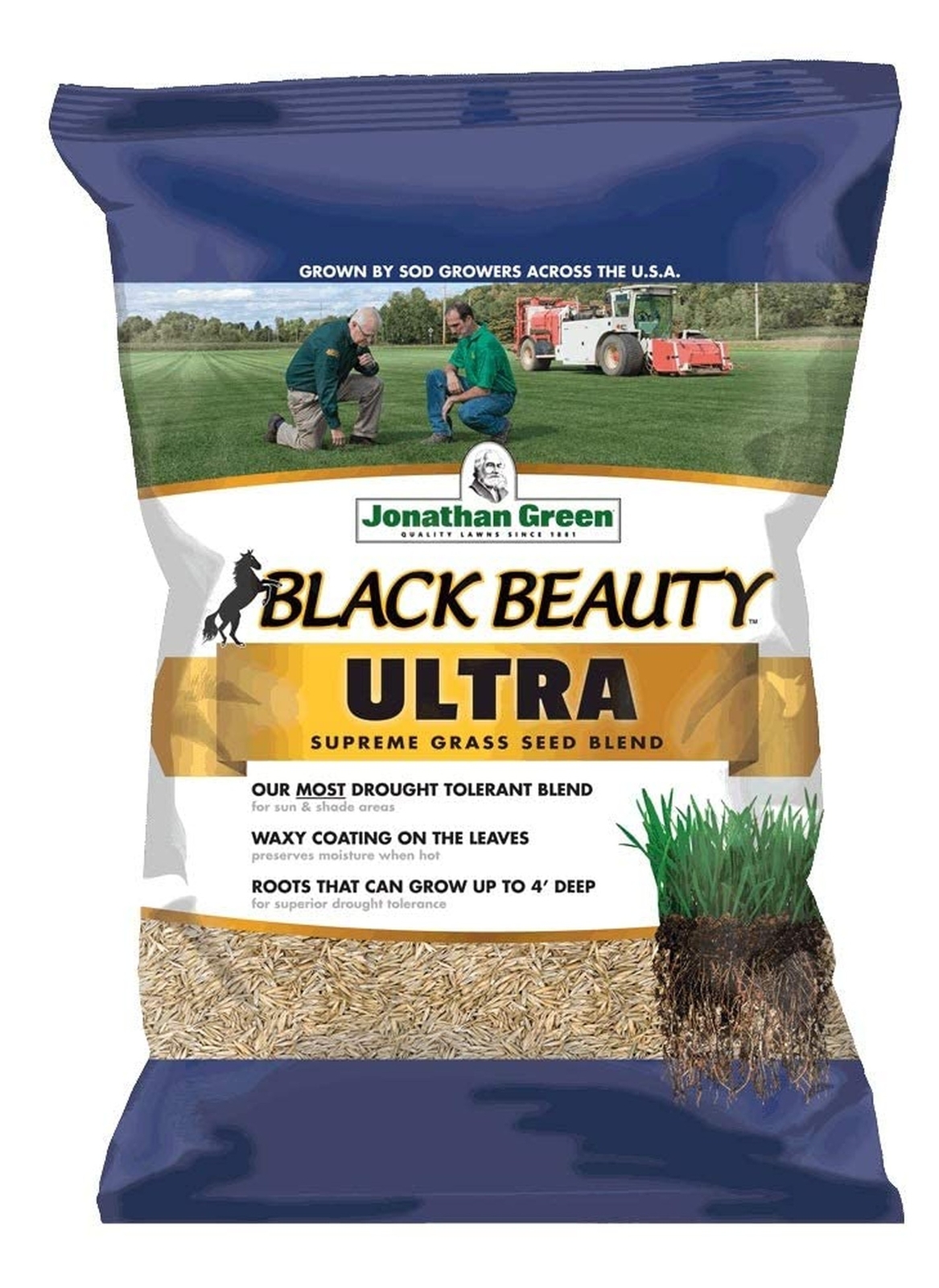 Jonathan Green (10322) Black Beauty Ultra Grass Seed – Cool Season Lawn Seed …