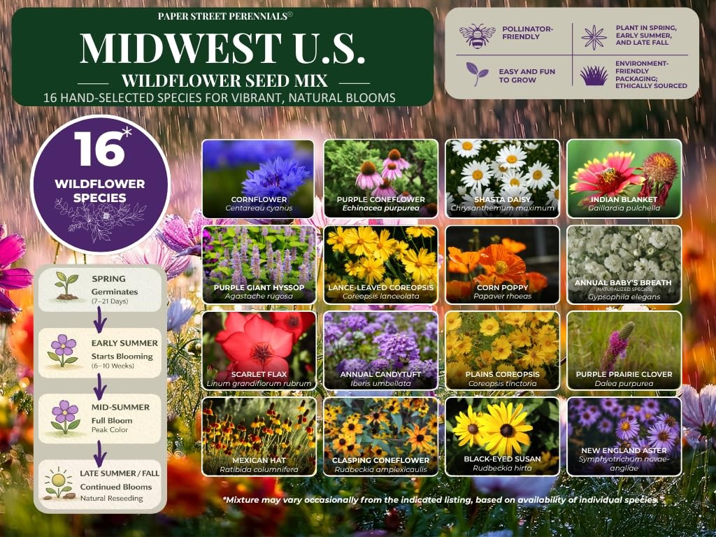 Missouri Bulk Perennial Wildflower Seed Mix 1/4 Pound Covers 500sq-ft – Attra…