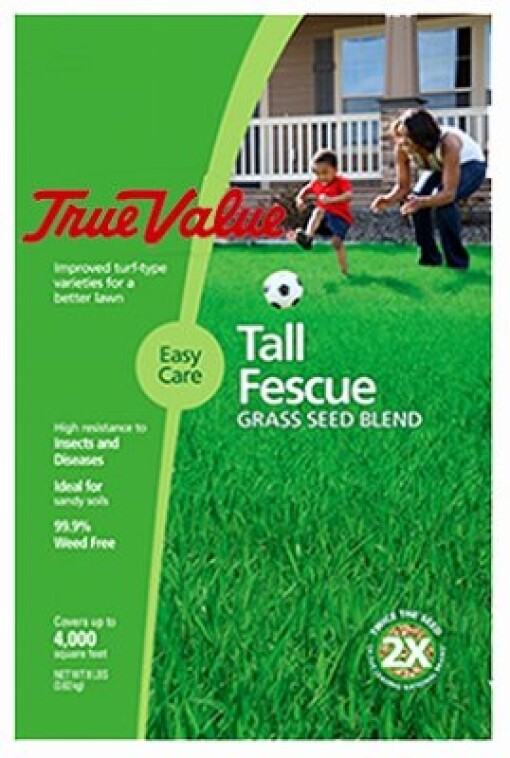 Barenbrug USA TVTF7 Tv 7 lb Tall Fescue Seed