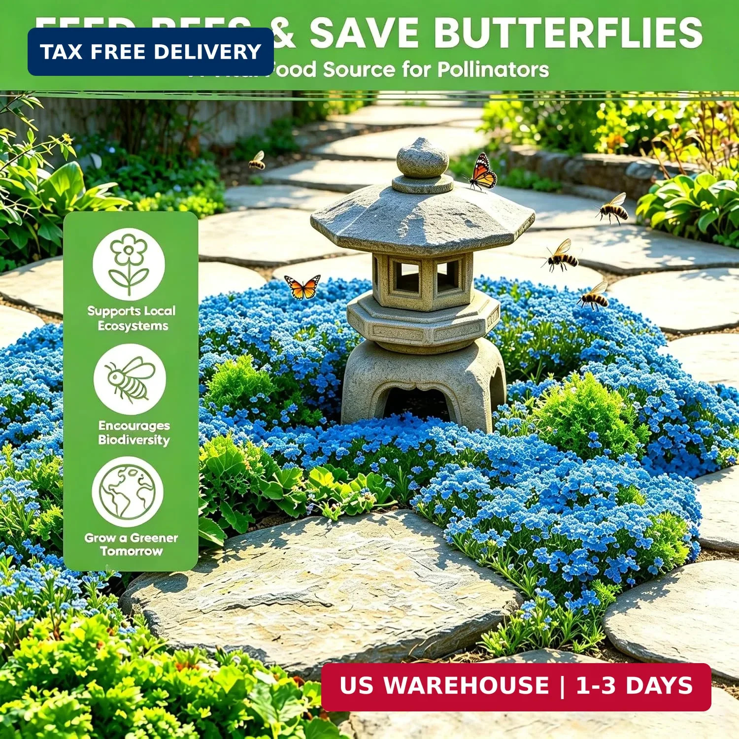 Blue Creeping Thyme Ground Cover Flower Seeds for Planting, 20000+pcs Perennial
