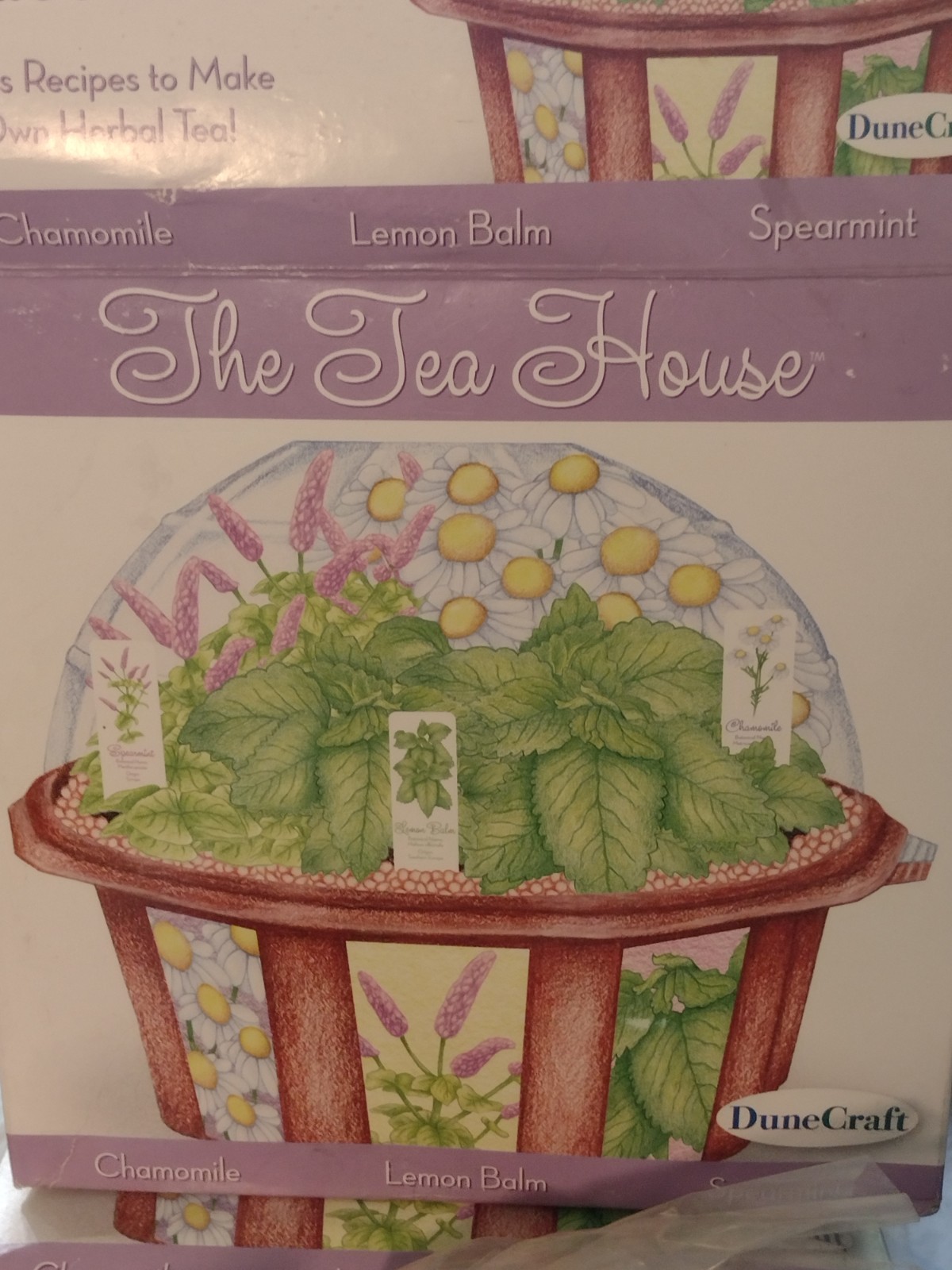 The Tea House Herb Garden Greenhouse, Window Herb Garden, Tea Herbs, 2 sets