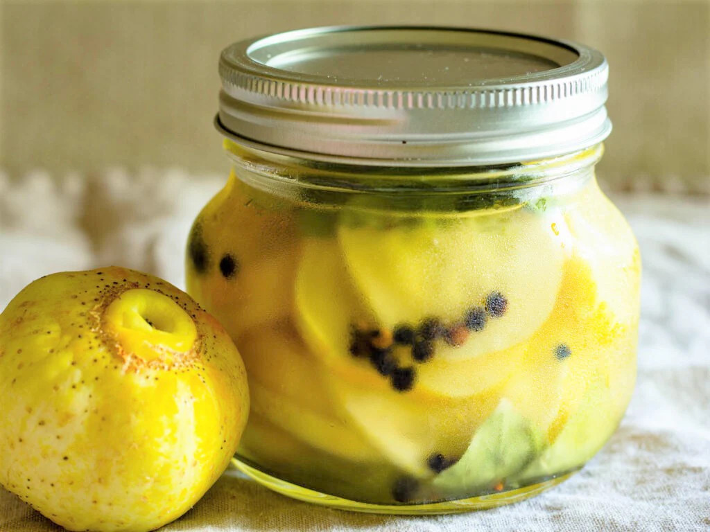 Lemon Cucumber Seeds | Golden Yellow Crystal Apple Cucumbers Budamkaya Seed 2024