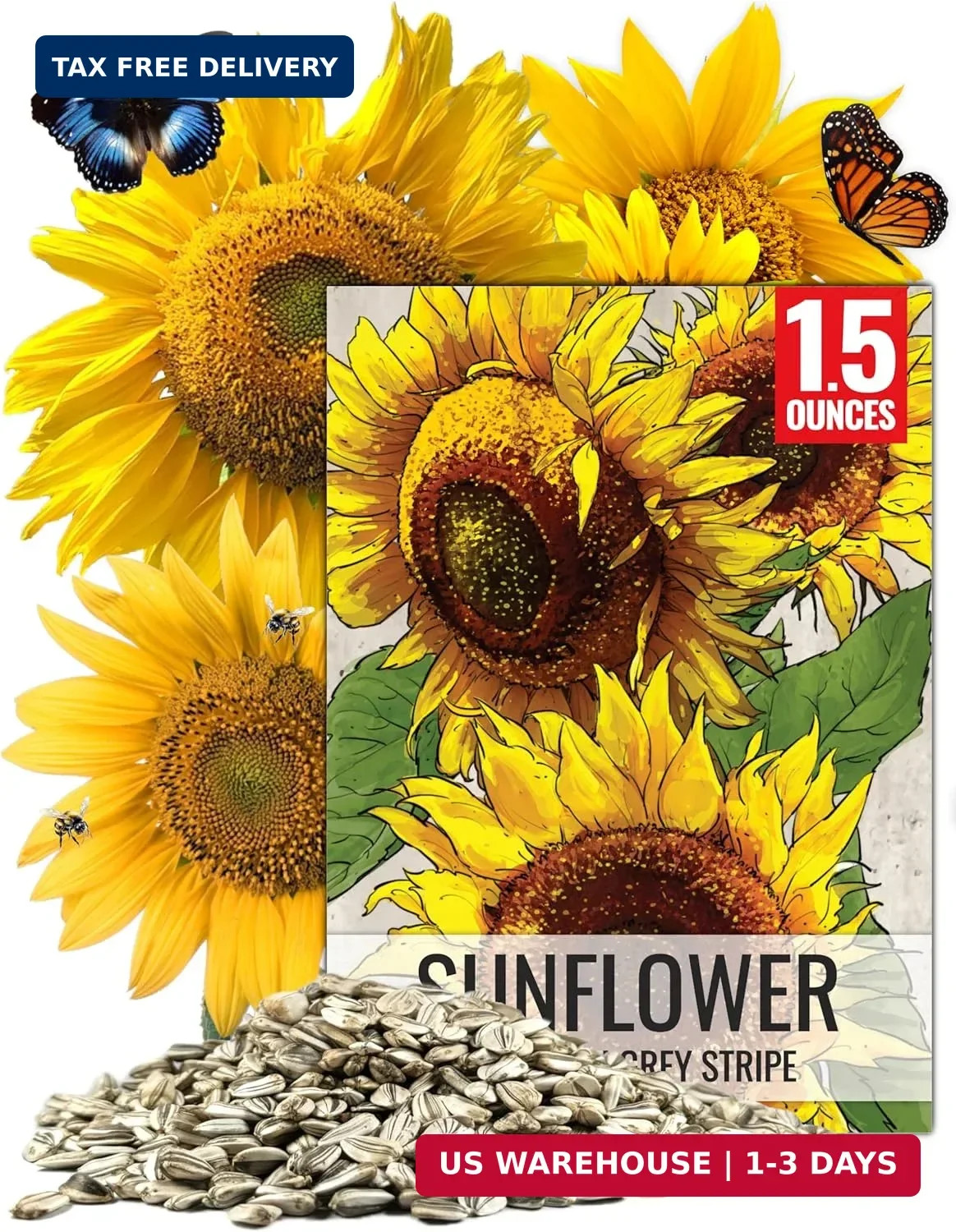 Seed Needs Sunflower Seeds to Plant 600+ Mammoth Grey Stripe Seeds | Heirloom Se