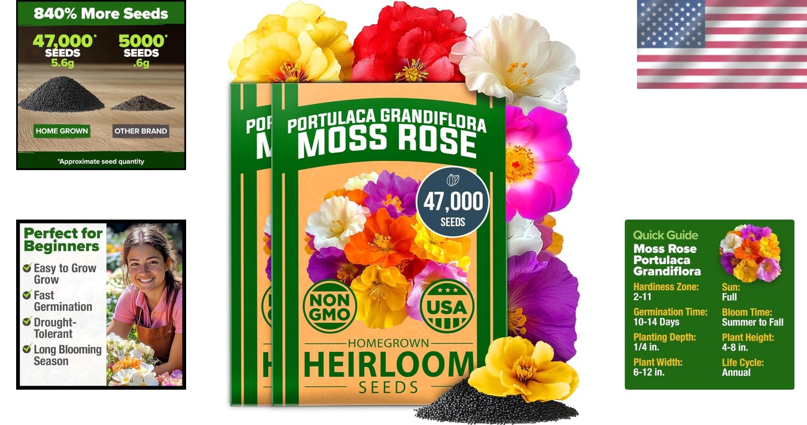 Moss Rose Ground Cover Seeds – Vibrant Landscapes Made Easy