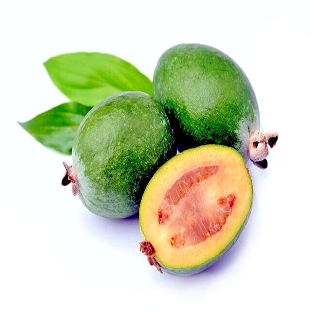20 PINEAPPLE GUAVA TREE SEEDS “Brazilian Fig Guava Fruit” Tropical Flower Plant