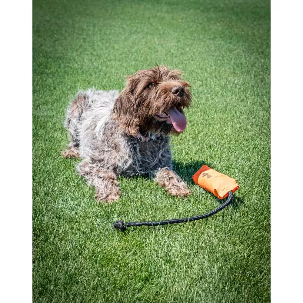 7 Lbs. Sun and Shade Grass Seed