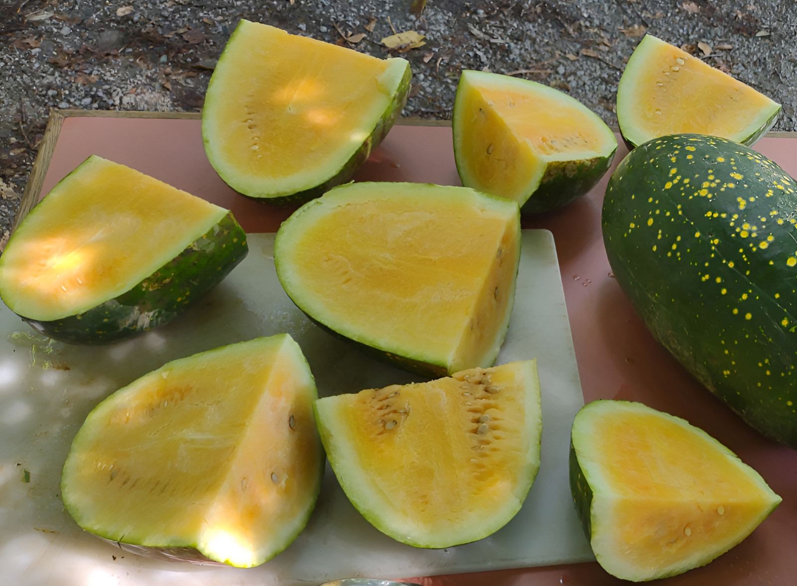 20 Rare Yellow Moon And Stars Watermelon Seeds – Beautiful & Sweet 20-25LB Melon