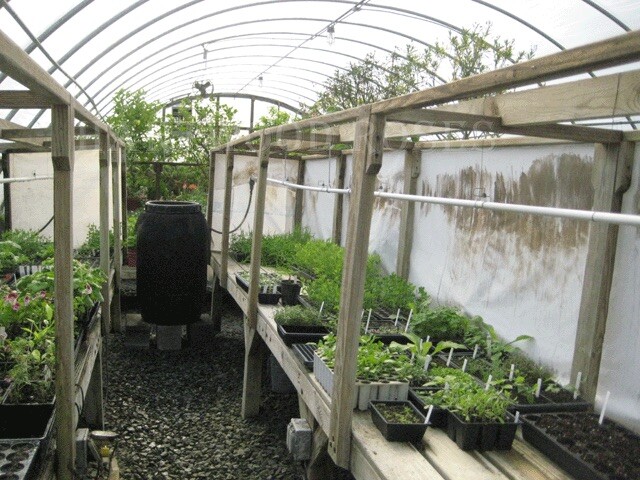 Victory Garden Prepper Vegetable Seeds 21 Variety Survival Heirloom Seeds Set