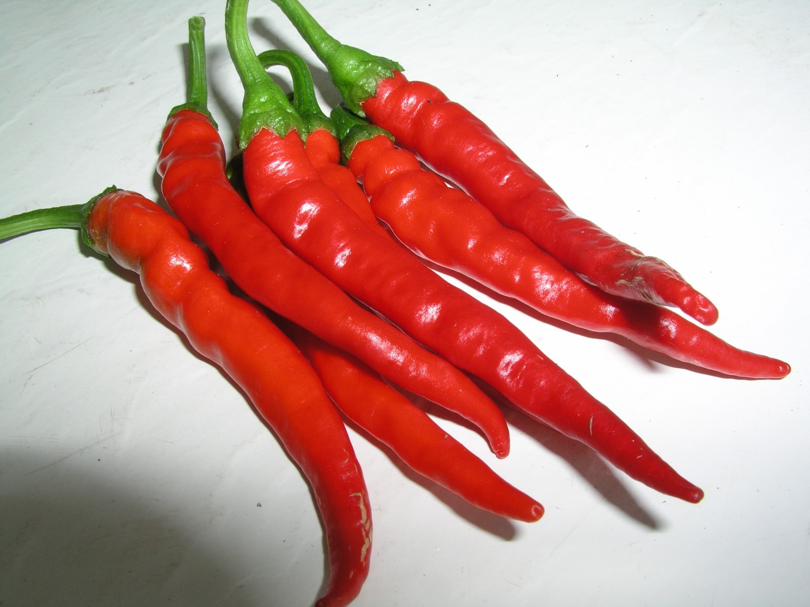 Cayenne Pepper Seeds – Long Red Thin – Heirloom