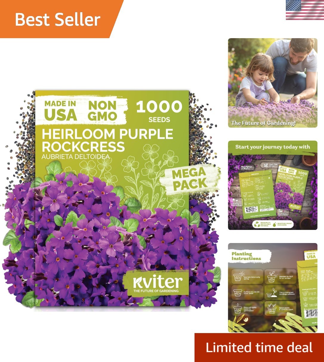 High Germination Aubrieta Seeds – 1,000 Count Organic Ground Cover Flowers