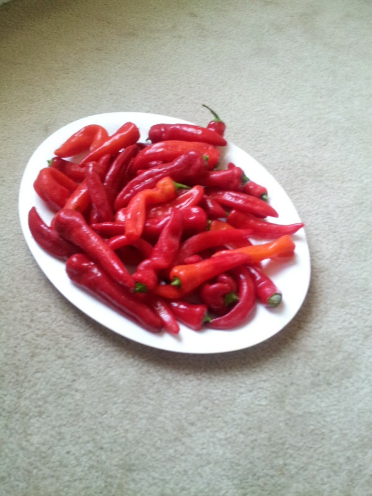 50+ Sweet Banana Pepper Seeds Super Prolific Non-GMO No Pesticides used No Heat