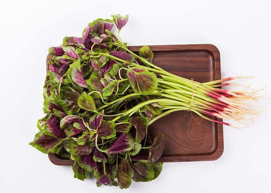 🌱Heirloom Amaranth Chinese Multicolor/Xian Cai 50+ Seeds *Heat Tolerant*