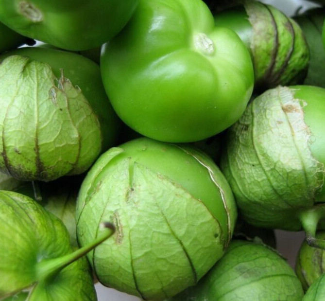 TOMATILLO SEEDS 200+ “VERDE” Latin American CULINARY garden VEGETABLE free ship