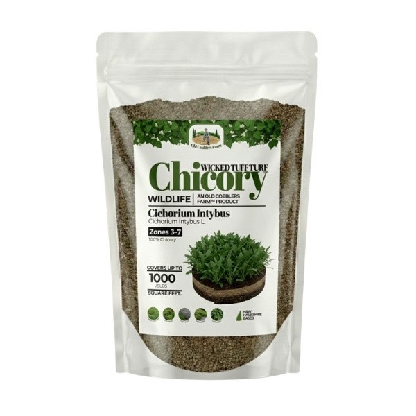 Old Cobblers Farm™ Wicked Tuff Turf Chicory (Other Forages)– High Protein Forage